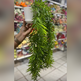 Pendente Verde com Vaso 45cm